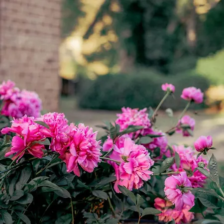 Herrenhaus Burg Vlatten 아파트 하임바흐