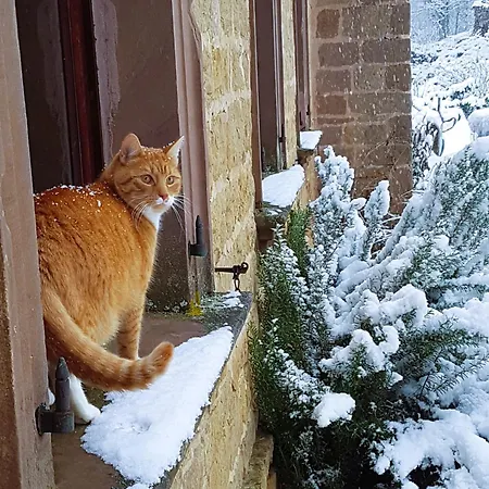 Herrenhaus Burg Vlatten 아파트 *