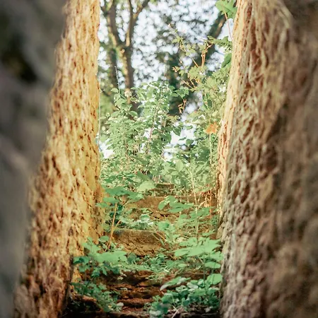 아파트 Herrenhaus Burg Vlatten 하임바흐