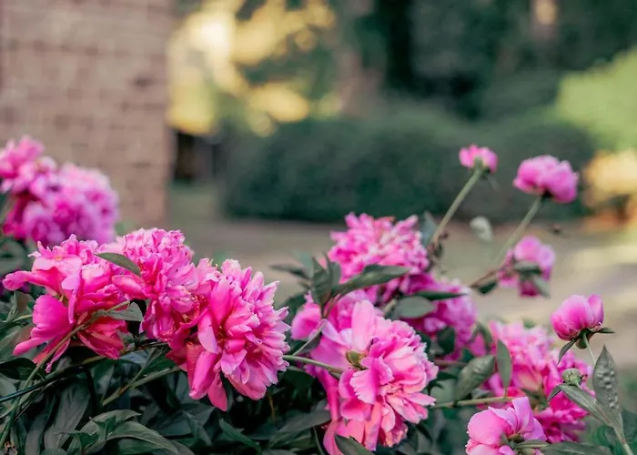 Herrenhaus Burg Vlatten Appartamento Heimbach