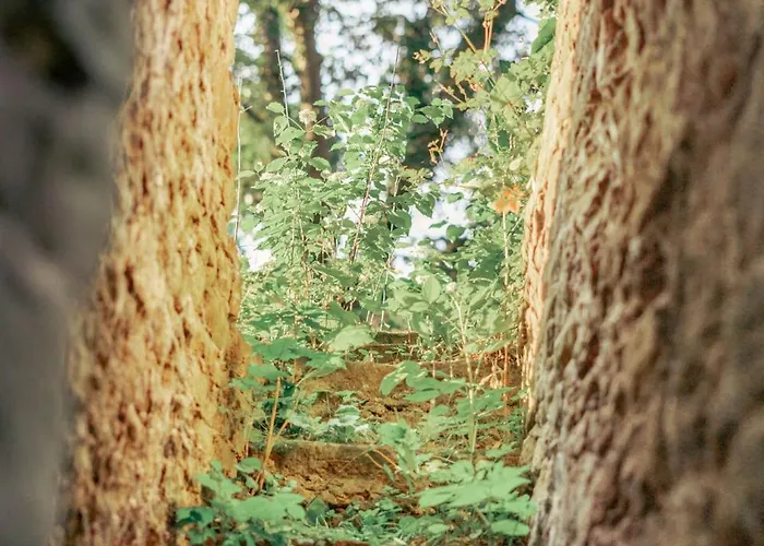 Lejlighed Herrenhaus Burg Vlatten Heimbach